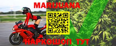 гидра Берёзовский