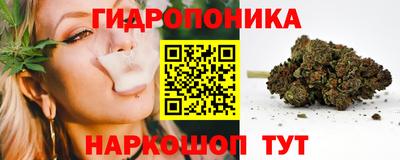 гидра Берёзовский