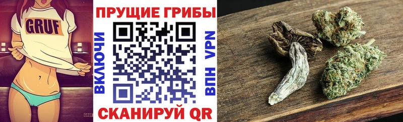 Галлюциногенные грибы прущие грибы Кызыл