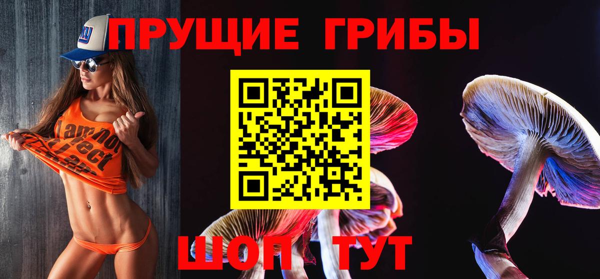 Псилоцибиновые грибы MAGIC MUSHROOMS  закладки  Кызыл  Вход с VPN  Галлюциногенные грибы Psilocybine cubensis 