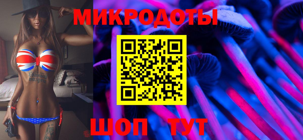 где купить   Кызыл  Псилоцибиновые грибы прущие грибы 